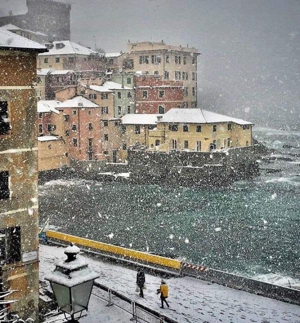 Teresa Colaiacovo - 7 Strumenti per difendersi e riconoscere un manipolatore affettivo